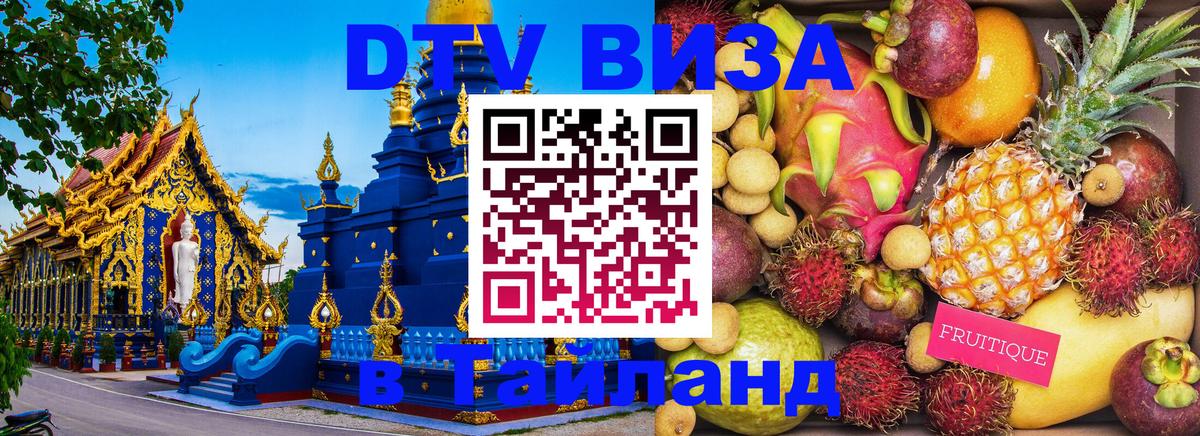 Сколько стоит DTV виза — актуальные цены, оформление даже без документов - Ессентуки 